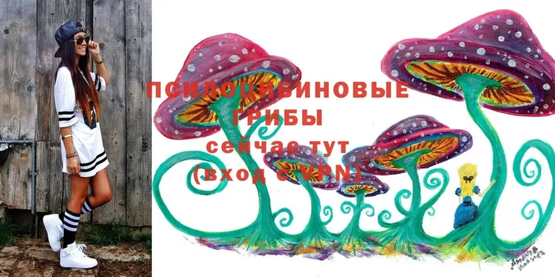 Галлюциногенные грибы MAGIC MUSHROOMS Белёв