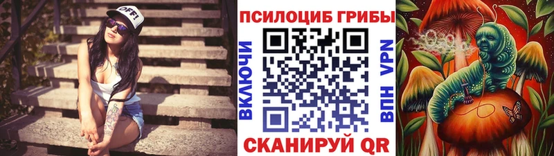 Псилоцибиновые грибы прущие грибы Белёв